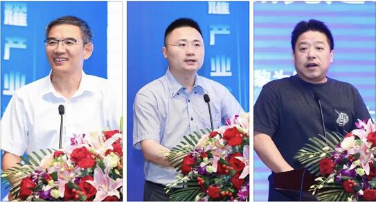 QQ截图20230705172632