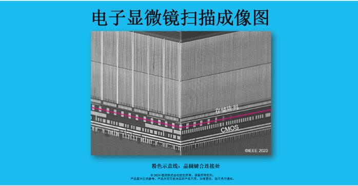 QQ截图20240829112129