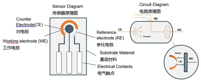 QQ截图20240906162926