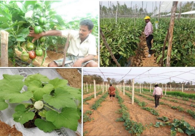 444db5f1ly1i10v85re8fj20i90cr768.jpg 444db5f1ly1i10v85re8fj20i90cr768.jpg