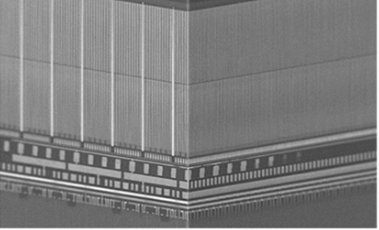 444db5f1ly1i2xgjrg1wmj20aj06ewem.jpg 444db5f1ly1i2xgjrg1wmj20aj06ewem.jpg